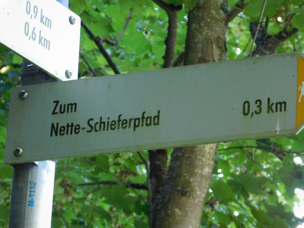 Ferienwohnung Schmitz Welling Екстер'єр фото
